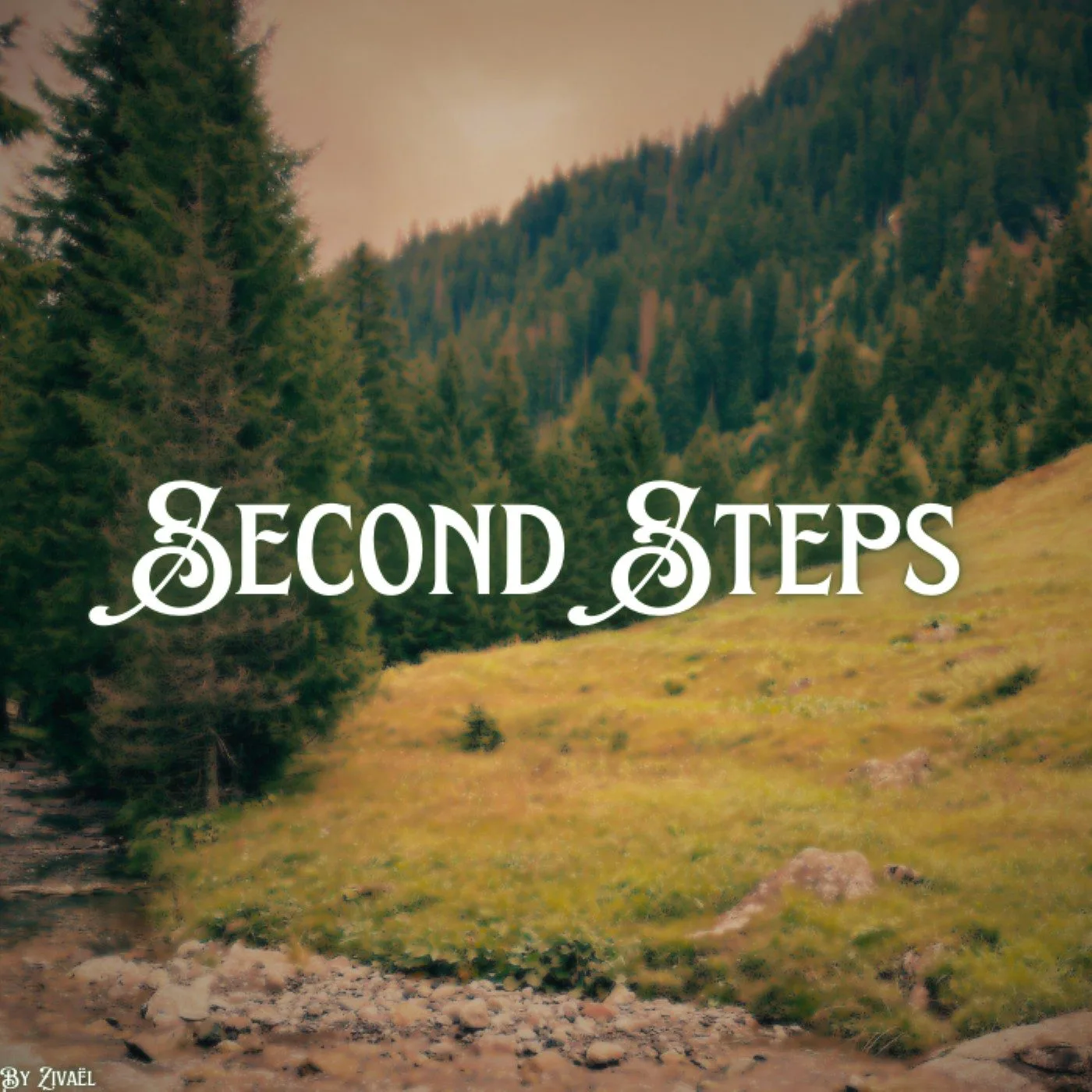 Second Steps